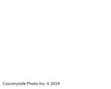 Game-10-3-2024-61