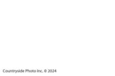 Game-10-12-2024-250